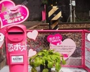 こい　