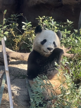 うた★本日出勤します★