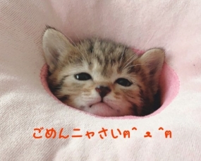 いこいです　訂正です