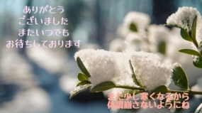 28日のお礼です なぎさ