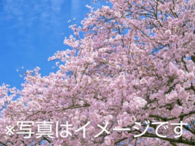 おはようございます☆