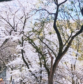 最高な癒しの時間にします