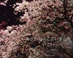 いこいです