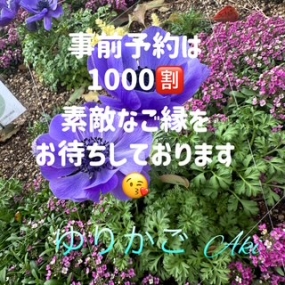 あき☆本日16(水)~21(月)__出勤します(^_^)