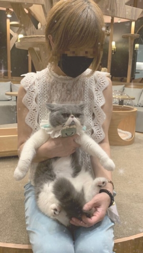 こどもの日に出現するあおな