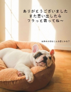 9日のお礼です なぎさ