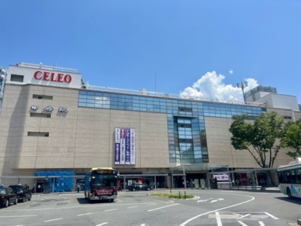 image1.jpeg
