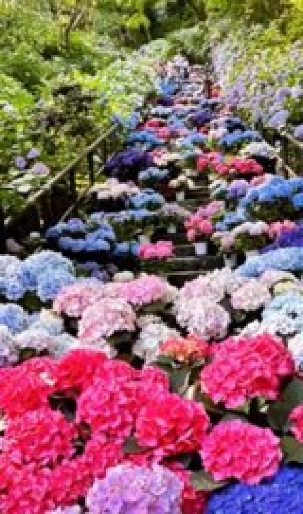 image0.jpeg