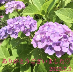 ちなみ 本日のお礼♪