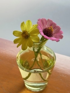 みやこ出勤しました