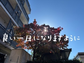 おはようございます