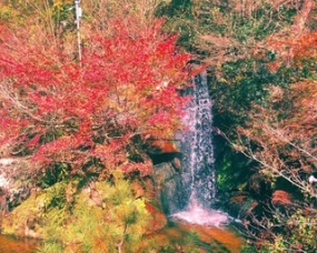 28日お礼　いこい