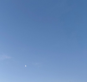 トワイライト。