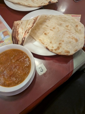 ひかる、お礼です(=^･^=)