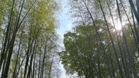 いこい☆本日のご案内