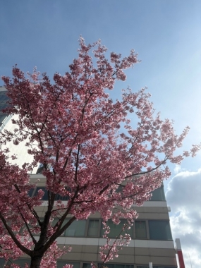 またの週末ですね。