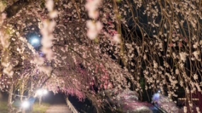 いこい☆ありがとうございました