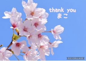 まこ☆お礼と出勤予定