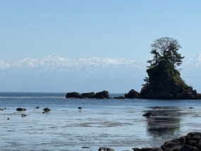 あみ　8日お礼です