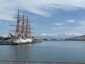 あみ　11日お礼です