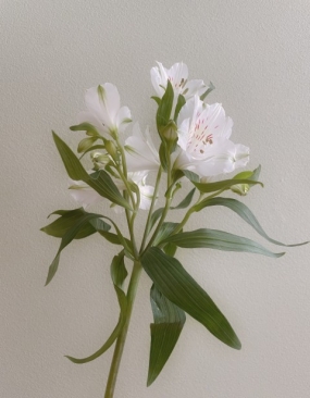 お礼と本日出勤★ゆいか