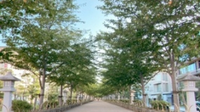 いこいです☆本日の本指名様へ