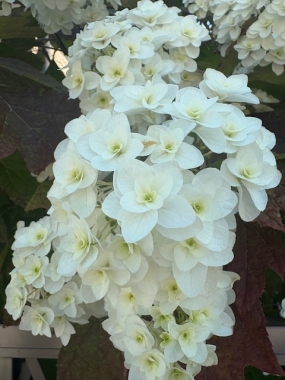 ６月。