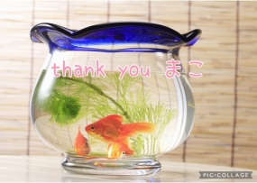 まこ☆お礼と出勤予定