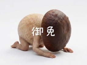 おはようございます☆