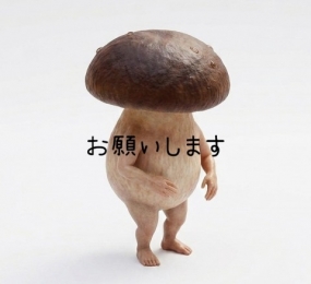 今月は…
