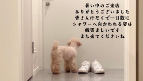 24日のお礼です なぎさ