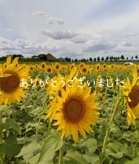 お礼(4日、5日、7日)