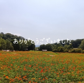 お礼(17日、18日)