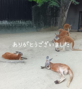 お礼(31日、1日、3日、4日)