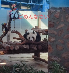 9月6日と8日お礼 本日9日休み お詫び さくら♪