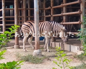 ありがとうございました☆(25日お礼)