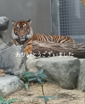 ありがとうございました☆(30日お礼)