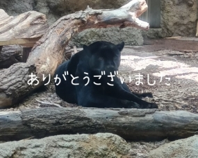 ありがとうございました☆
