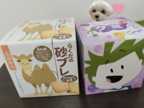 5日(月)のお礼☆ちよ