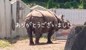 ありがとうございました☆