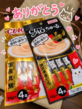 ありがとうございました(^o^)