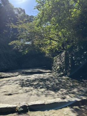 あみ　遅くなりました12日お礼です